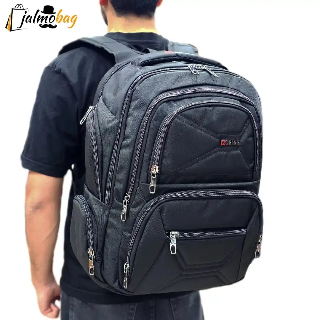 قیمت خرید کوله پشتی دانشجویی دلسی (DELSEY) کد 4202